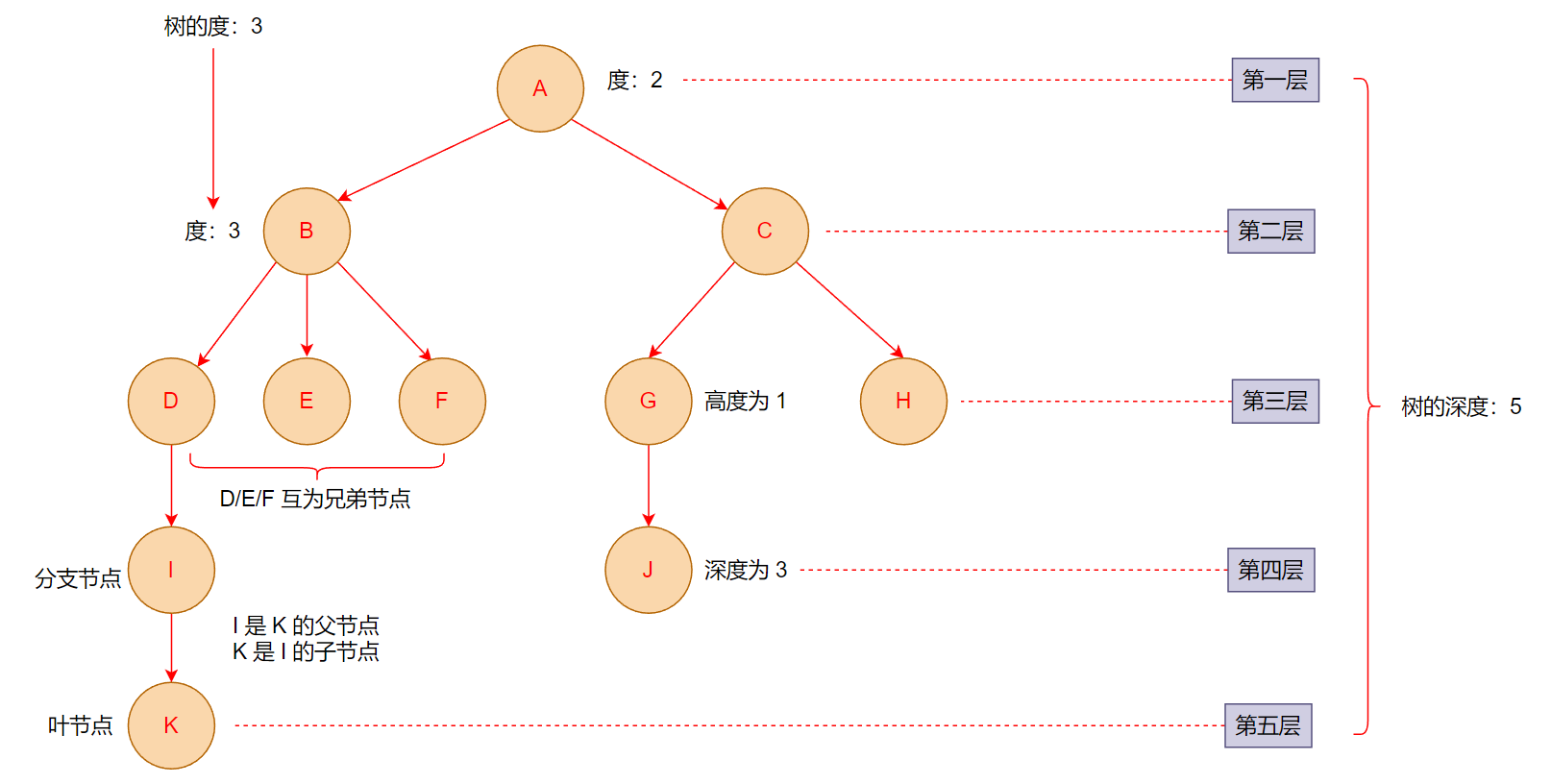 image-20240128004315876