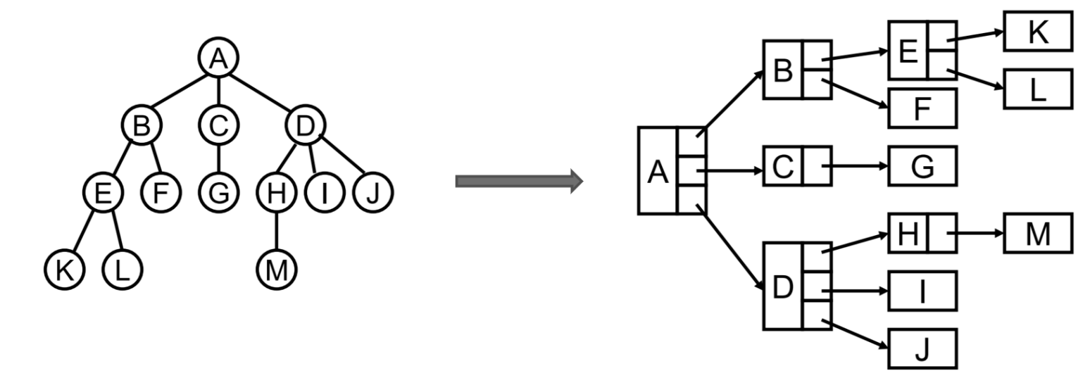 image-20240128171013263
